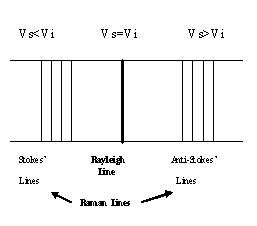 Raman spectrum